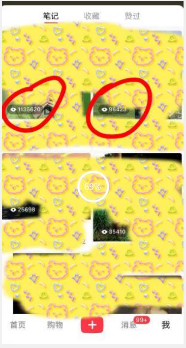 长期稳定项目，小红书女生头像号，最高单日收益5000+，适合在家做的副业项目