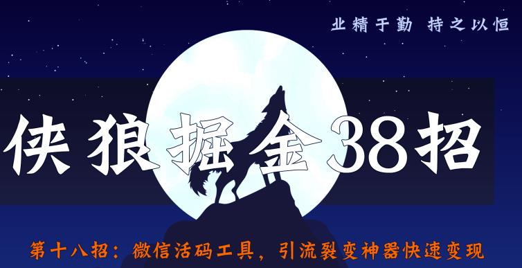 侠狼掘金38招第18招微信活码工具，引流裂变神器快速变现【视频课程】