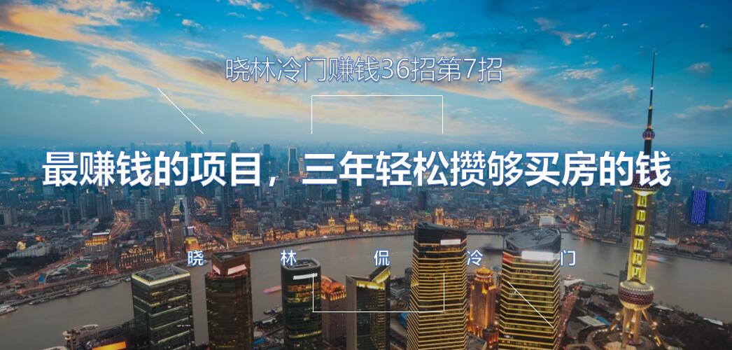 晓林冷门赚钱36招第7招最赚钱的项目，三年轻松攒够买房的钱【视频课程】