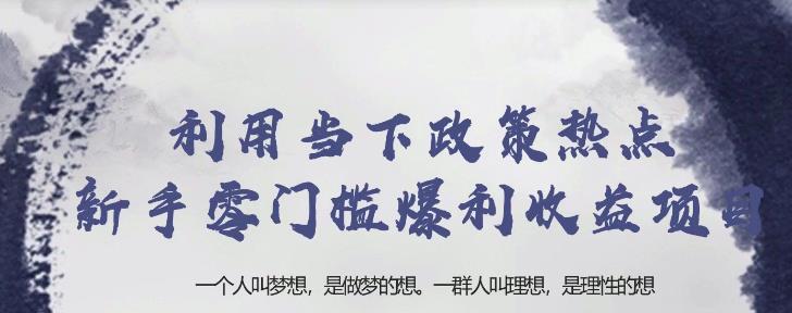 忠余网创32计第二十五计：利用当下政策热点新手零门槛暴利收益项目【视频课程】