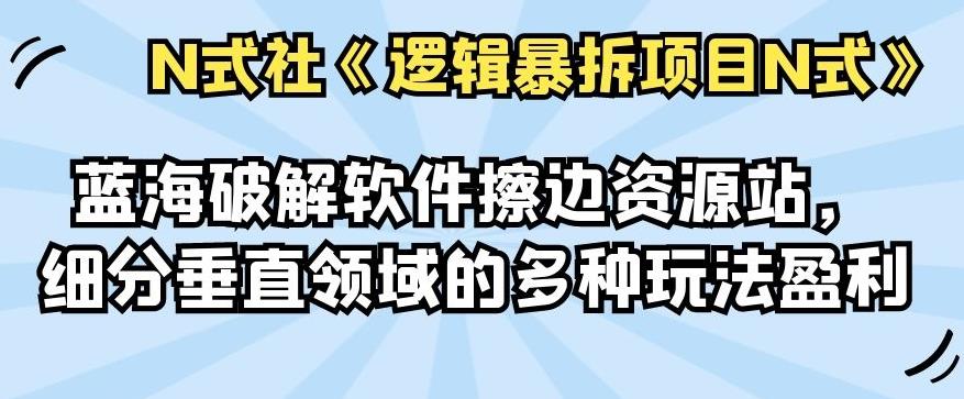 倪尔昂逻辑暴拆项目N式之11：蓝海破解软件擦边资源站，细分垂直领域的多种玩法