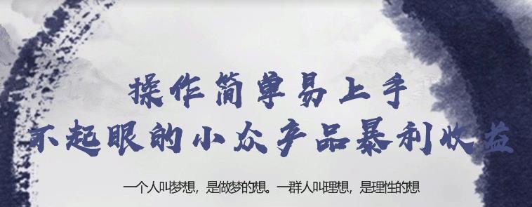 忠余网创32计第十七计：操作简单易上手不起眼的小众产品暴利收益【视频课程】