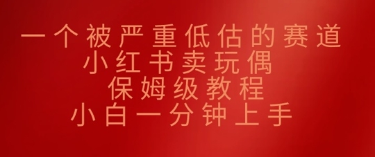 一个被严重低估的赛道，小红书卖玩偶，保姆级教程，小白一分钟上手