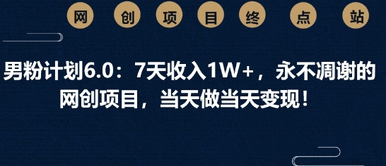 男粉计划6.0：7天收入1W+，永不凋谢的网创项目，当天做当天变现