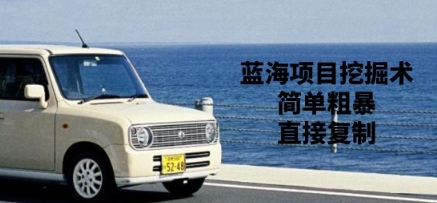 蓝海项目挖掘术，简单粗暴，直接复制