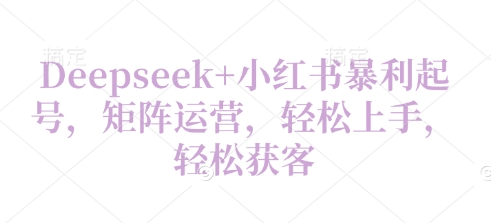 Deepseek+小红书暴利起号，矩阵运营，轻松上手，轻松获客