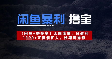 闲鱼暴利撸金无限流量，日盈利几张，可复制扩大，长期可操作