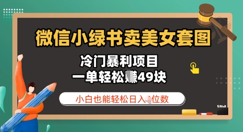 微信小绿书卖美女套图，冷门暴利项目，一单轻松挣49块，小白也能轻松日入3位数