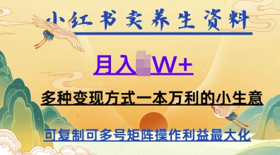 在小红书上卖养生资料，月入1w+，多种变现方式一本万利的小生意