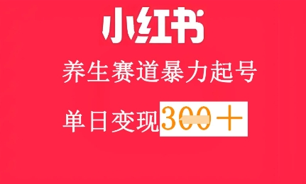 小红书养生赛道，暴力起号，轻松日入3张+