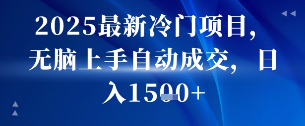 2025最新冷门项目，无脑上手自动成交，日入多张