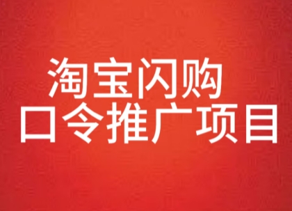 淘宝闪购口令推广项目，收益可观，一部手机，一个抖音号即可操作