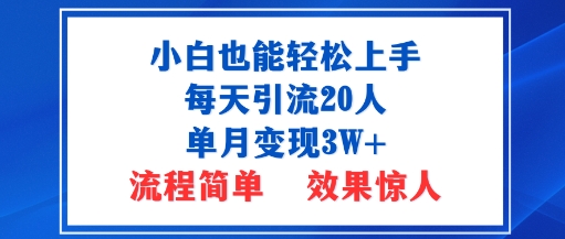 小白也能轻松上手的宝妈项目，每天引流20人，单月变现3W+，流程简单，效果惊人