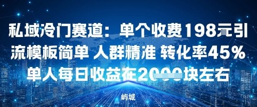 私域冷门赛道：单个收费198米引流模板简单人群精准转化率45%单人每日收益在1k+