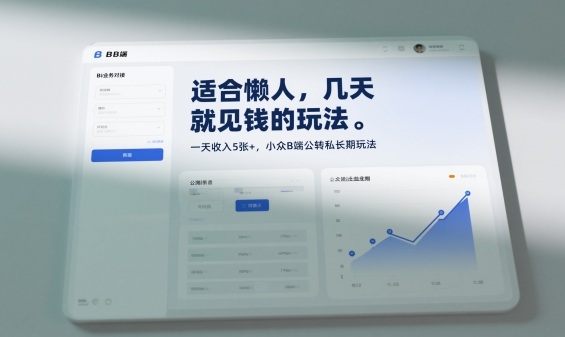 适合懒人，几天就见钱的玩法，一天收入5张+，小众B端公转私长期玩法